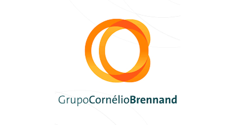 Бразильская Brennand Group построит цементный завод в штате Парана