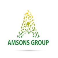 Компания Amsons Group (Танзания) предложила 23,1 млрд шиллингов за Bamburi cement (Кения)