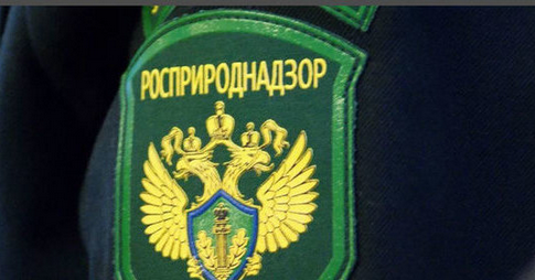 С 27 февраля в России действует новый порядок оформления экологических разрешений