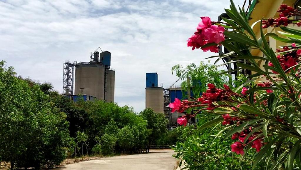 Индийская компания Zuari Cement подписала соглашение о закупке электроэнергии, вырабатываемой с использованием энергии ветра